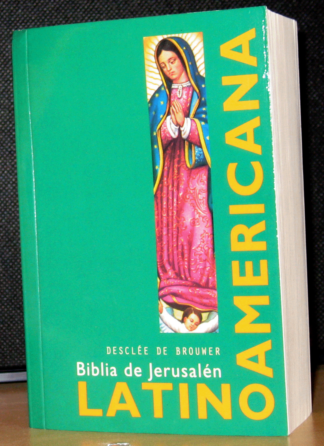 Download Santa Biblia Latinoamericana Pdf
