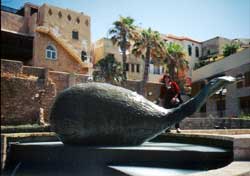 Jonas Whale, Yafo